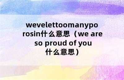 wevelettoomanyporosin什么意思（we are so proud of you什么意思）